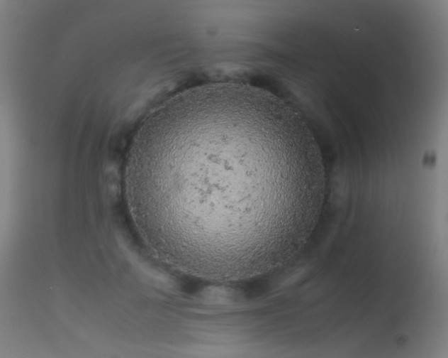 X0000113240699200909171603