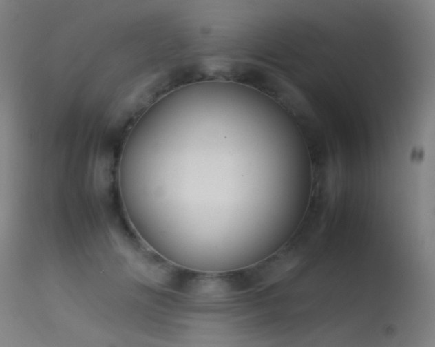 X0000113240702200909171603