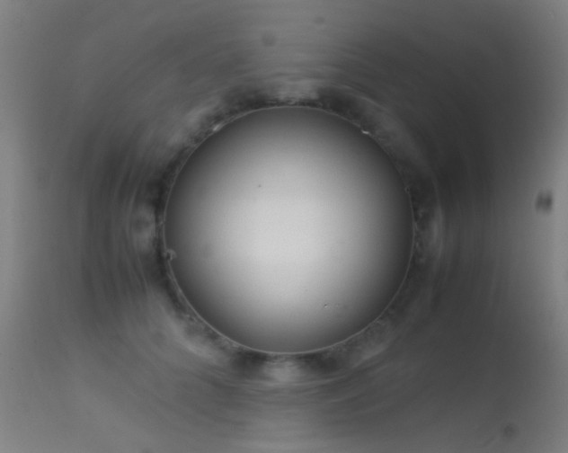 X0000113240704200909171603