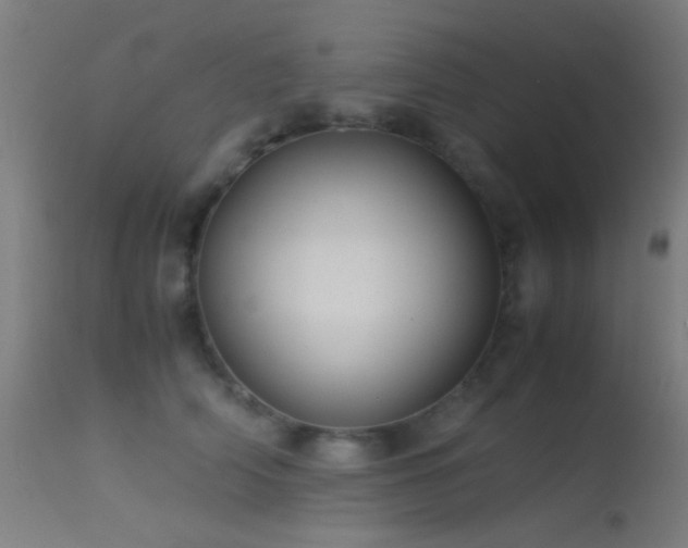 X0000113240706200909171603