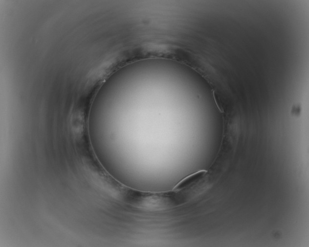 X0000113240708200909171603