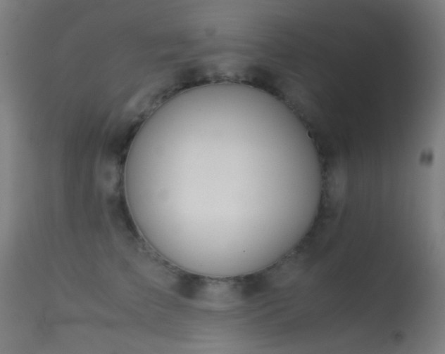 X0000113240709200909171603