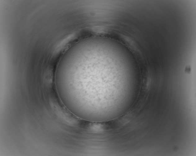 X0000113240710200909171603