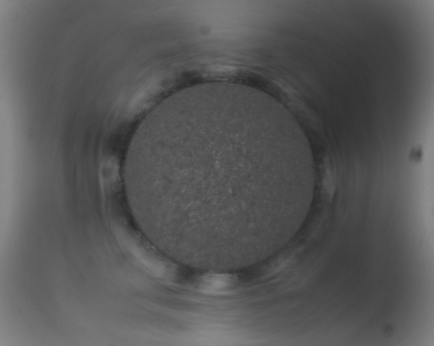 X0000113240711200909171603