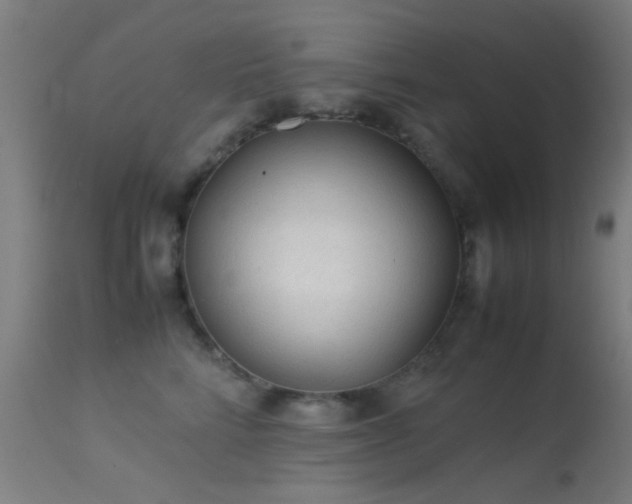 X0000113240712200909171603