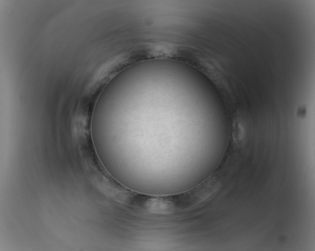 X0000113240714200909171603