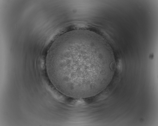 X0000113240715200909171602