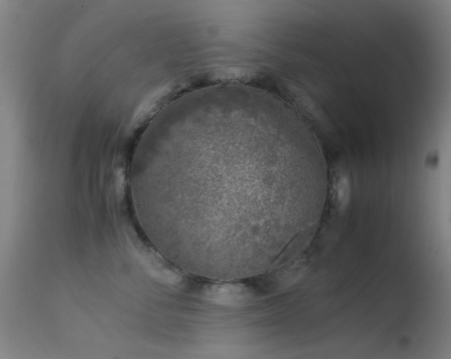 X0000113240716200909171602