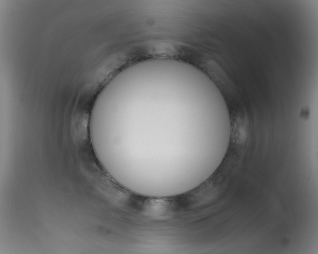 X0000113240717200909171602