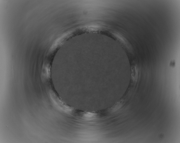 X0000113240718200909171602