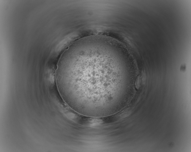 X0000113240719200909171602