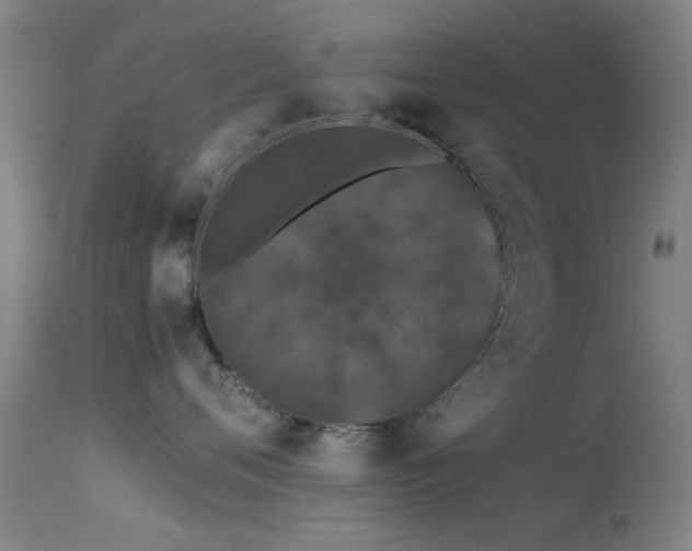 X0000113240720200909171602