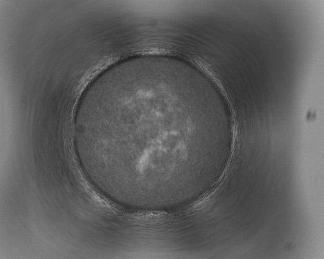 X0000113240721200909171602