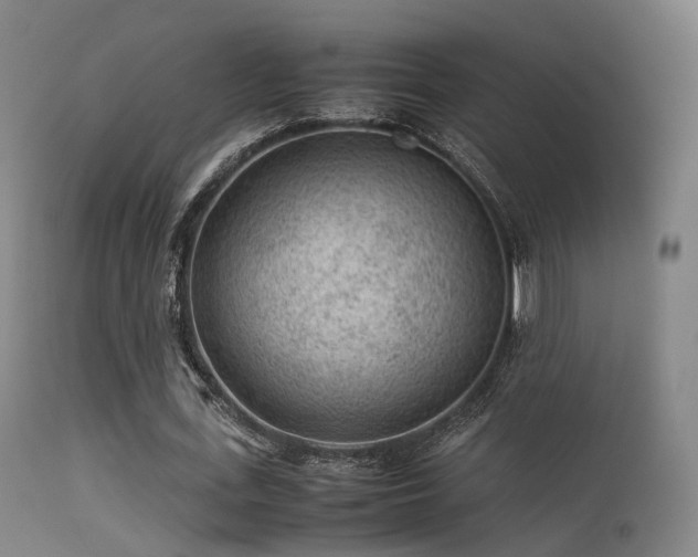 X0000113240723200909171602