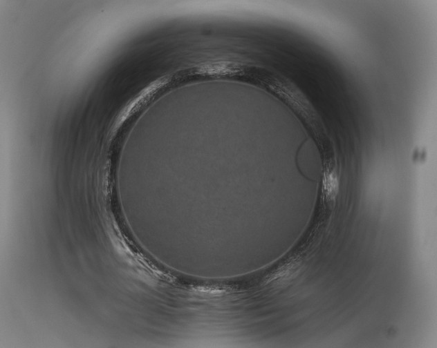 X0000113240724200909171602