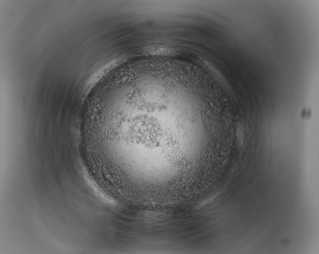 X0000113240725200909171602