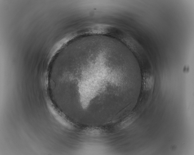 X0000113240726200909171602