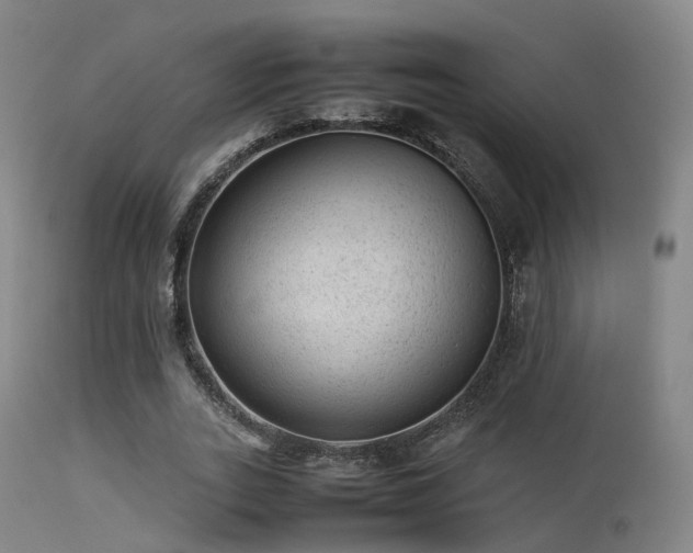 X0000113240727200909171602