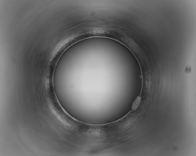 X0000113240728200909171602