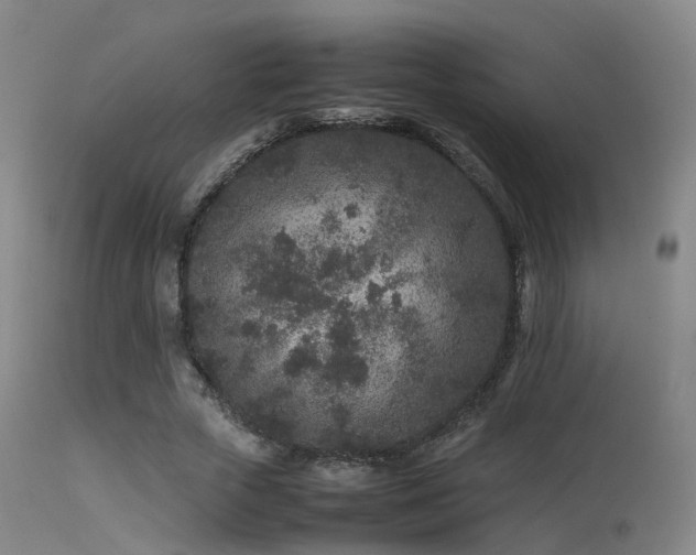 X0000113240729200909171602