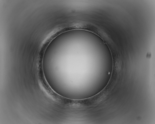 X0000113240730200909171602