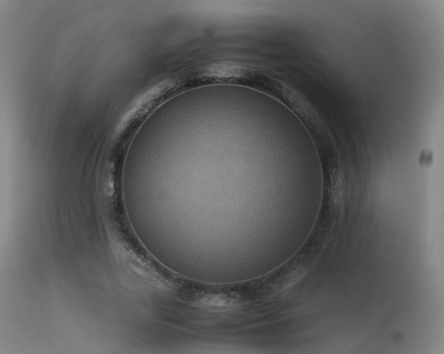 X0000113240731200909171602