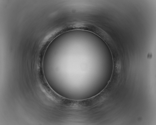 X0000113240732200909171602