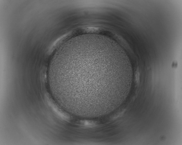 X0000113240733200909171602