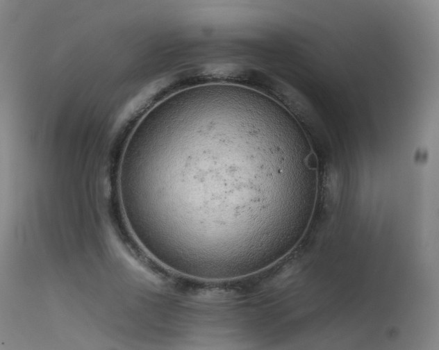 X0000113240734200909171602