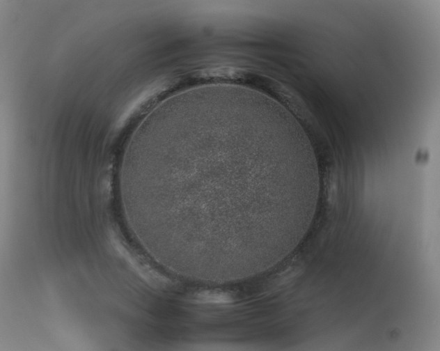 X0000113240735200909171602