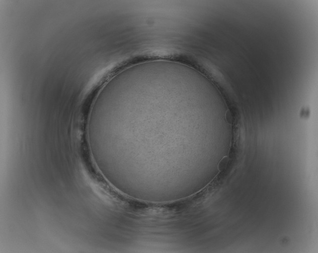 X0000113240736200909171602