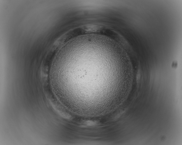 X0000113240737200909171602