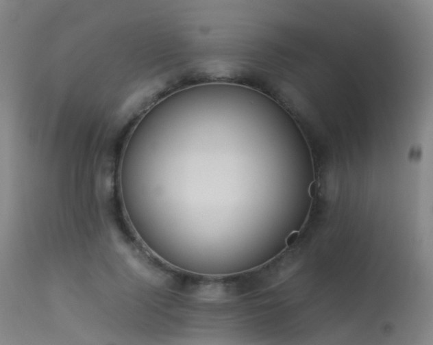 X0000113240740200909171602