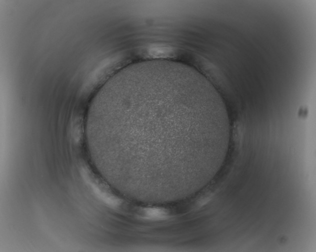 X0000113240741200909171602