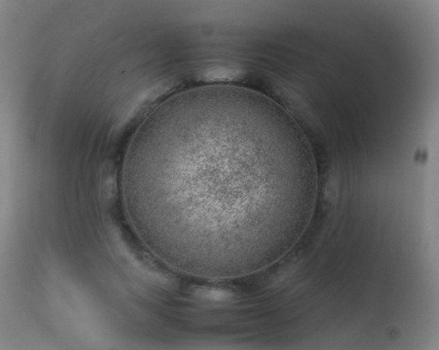 X0000113240743200909171602