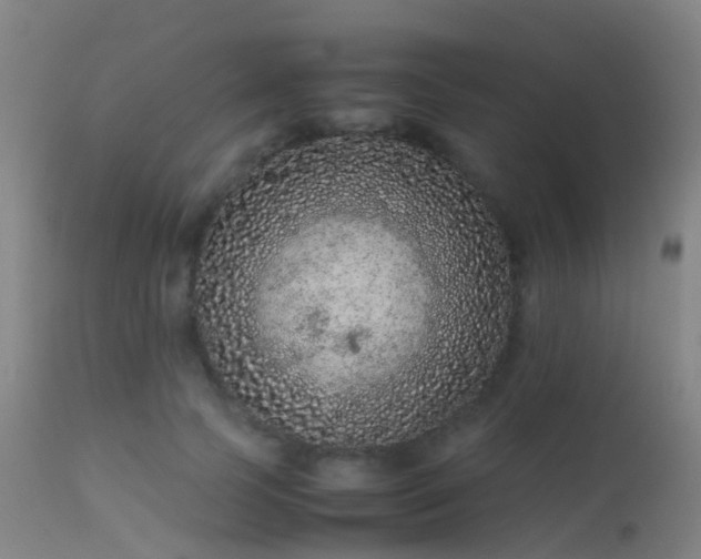 X0000113240745200909171602