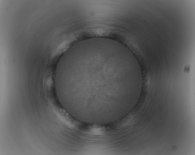 X0000113240746200909171602