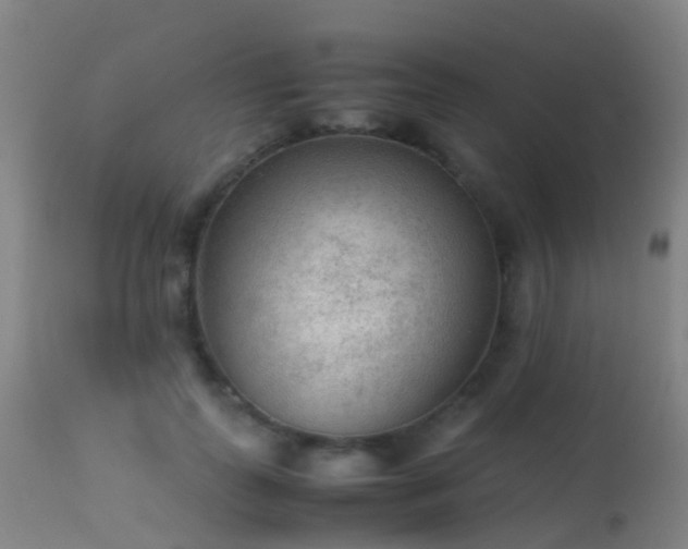 X0000113240747200909171602