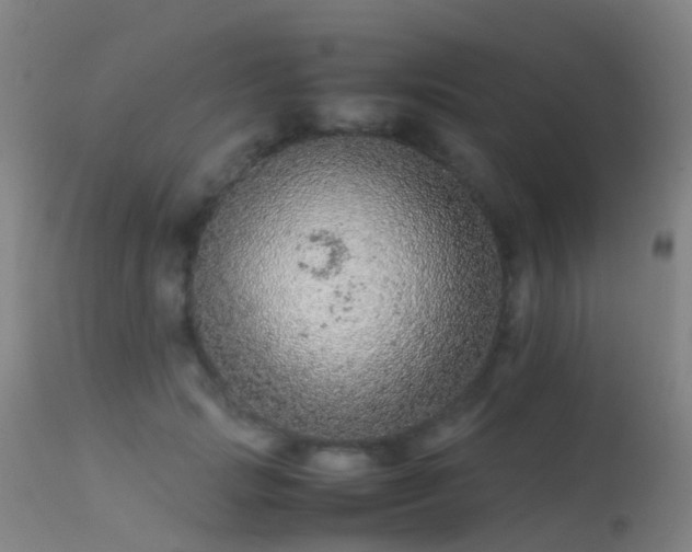 X0000113240749200909171602