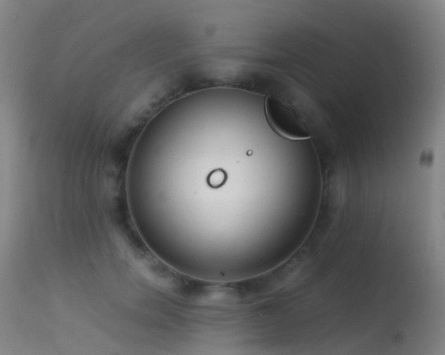 X0000113240750200909171602