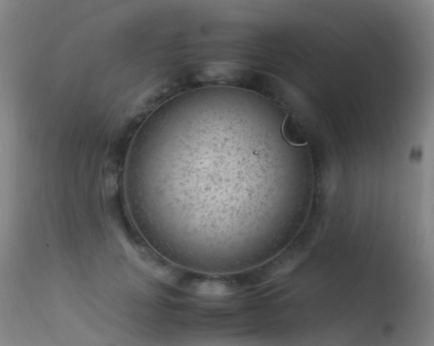 X0000113240751200909171602