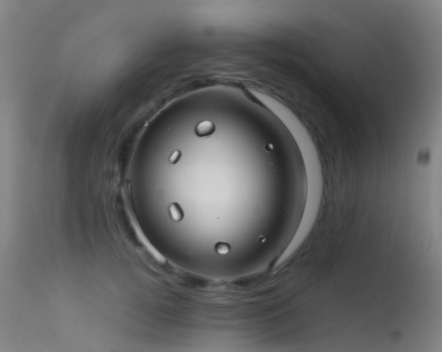 X0000113240752200909171602