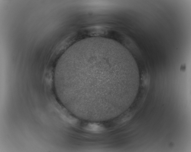 X0000113240753200909171602