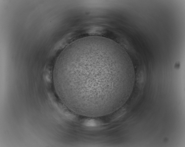 X0000113240755200909171602