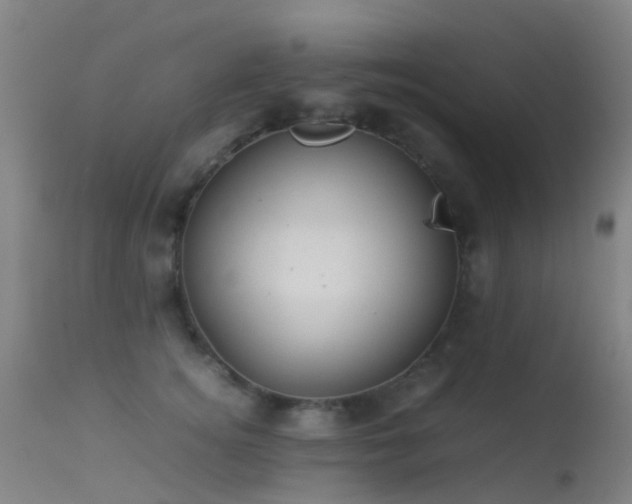 X0000113240756200909171602