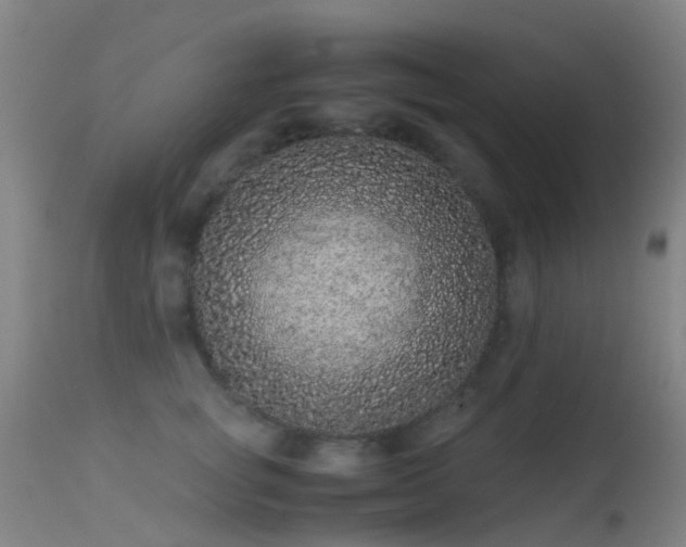 X0000113240757200909171602