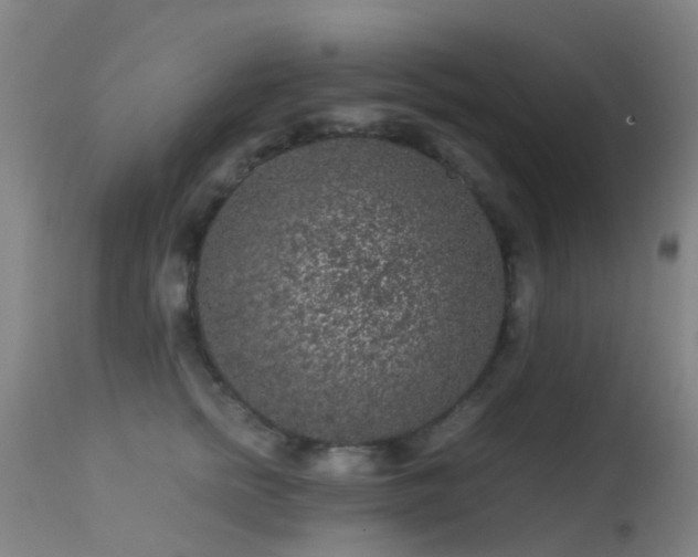 X0000113240758200909171602