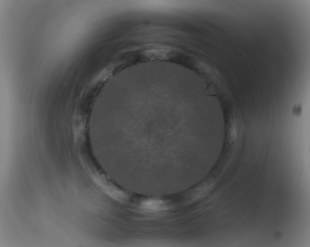 X0000113240759200909171602