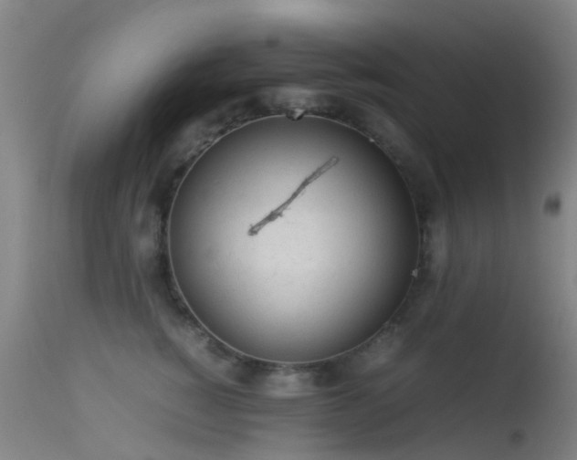 X0000113240760200909171602