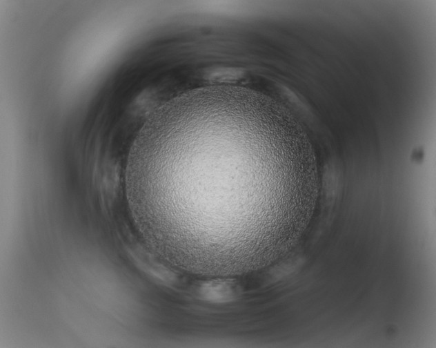 X0000113240761200909171602